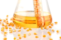 Biodiesel Image